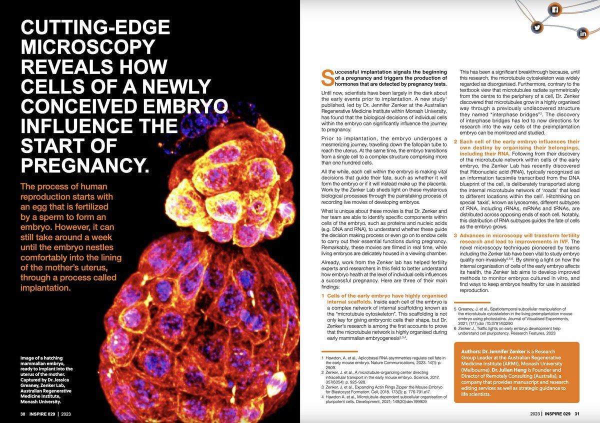 With our article published today in @ResAustralia's journal INSPIRE, our science is accessible and understandable to a diverse group of non-scientists - because who wouldn't be captivated by seeing in real-time how a single cell transforms into a new life? @ARMI_Labs