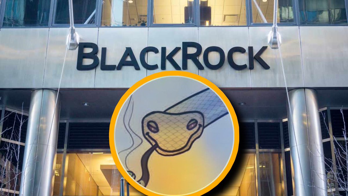 BullishAlex 🐂 tweet media