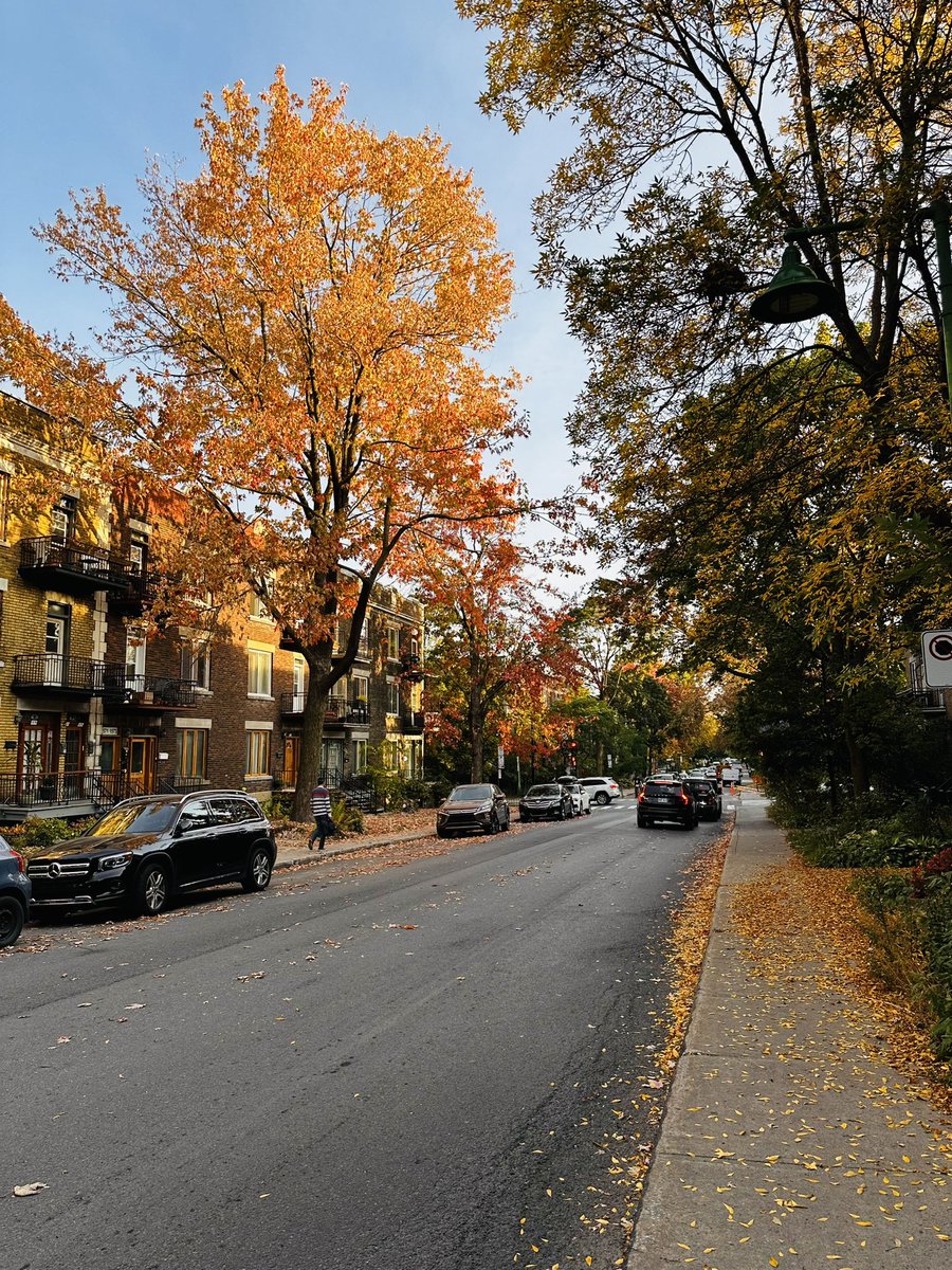 Amarryl 🍃 tweet media