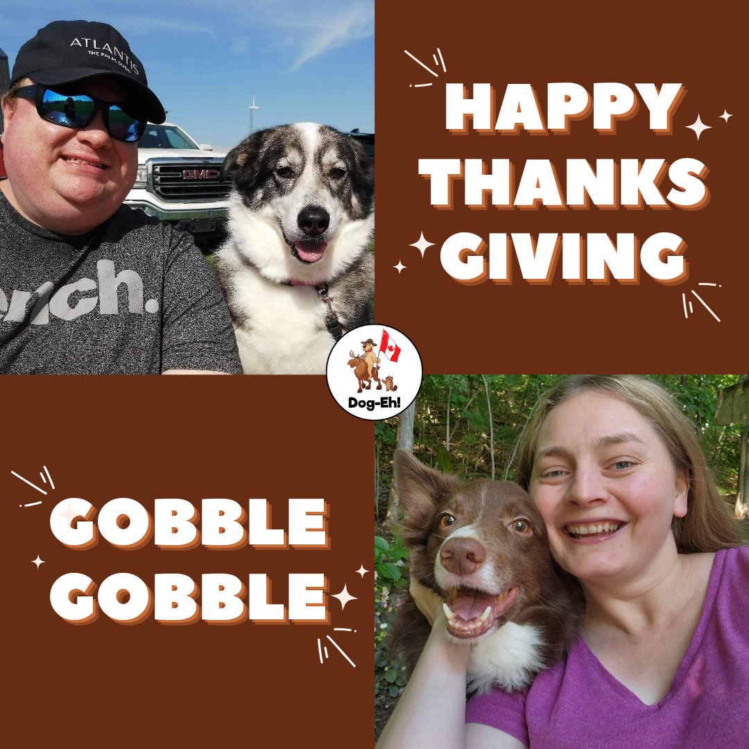 🍁🦃 Happy Canadian Thanksgiving!🐾 As we gather with family & friends to give thanks, let's also show gratitude for our loyal canine companions. Share a moment of appreciation for the joy & love they bring to our lives 🐶❤️ #CanadianThanksgiving #Gratitude #DogEh