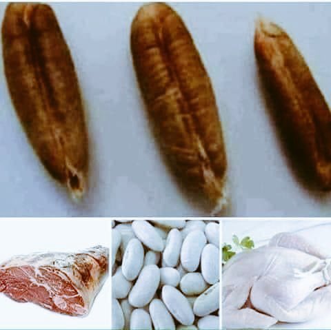 ما علاقة نواة التّمر في سرعة الطبخ وطبخ اللحوم !!!!🍖

من المعروف أن اللحوم ، وخاصة كبيرة السن ، تحتاج لوقت طويل قد يصل لساعة ونصف لتنضج ومع ذلك يظل اللحم الكبير قاسي .
كذلك اللوبيا الحمص و جميع والبقوليات الأخرى تحتاج لساعة وقد تزيد حتى تنضج 
وهذا يعتبر إستهلاك للغاز ومعاناة
