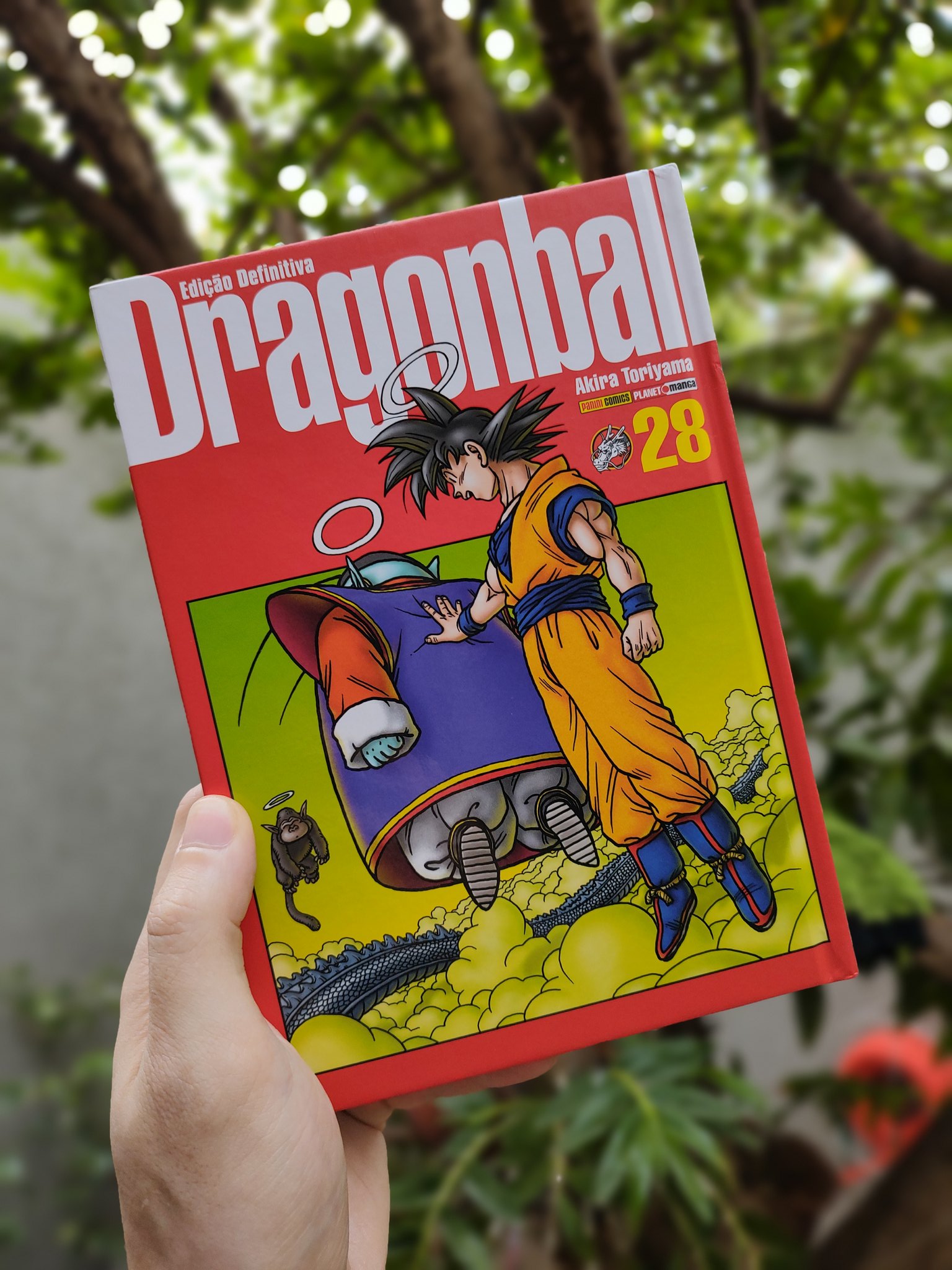 Dragon Ball: Edição Definitiva n° 22/Panini