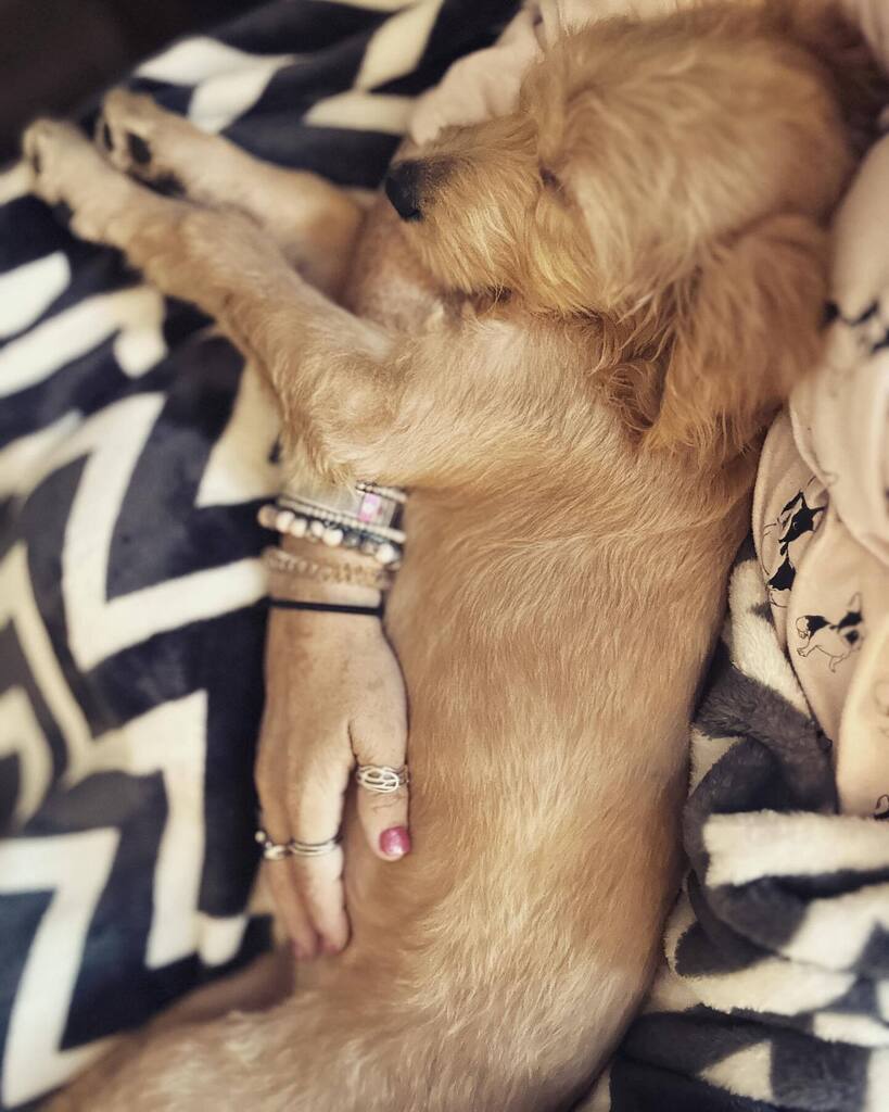 Heather Asbell tweet media