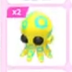 X2 blue ringed Octopus Giveaways
1. Follow
2. Like &amp; Retweet
3. Comment: done
If you want to increase your chances even more, subscribe to my roblox account (b0dnn)
#adoptmegws #adoptmegiveaways #adoptmegw #adoptmeg #adoptme #ROBLOX  #robloxgiveaway #robloxgiveaways #RobloxDev