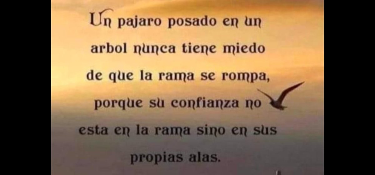 cjportillaj's tweet image. 