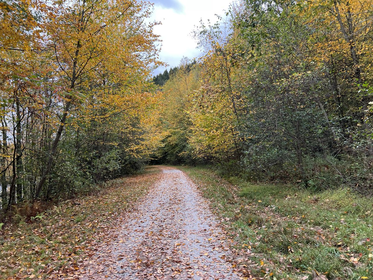 ESUSoftball's tweet photo. 25 Miles Complete ✅ ESU Softball team bike ride through the beauty of Pennsylvania! Ahhh refreshing, fall air…enjoy the process! #WarriorStrong #PAFall #ESU ❤️🖤🚲 https://t.co/Jpi5kKTwG6