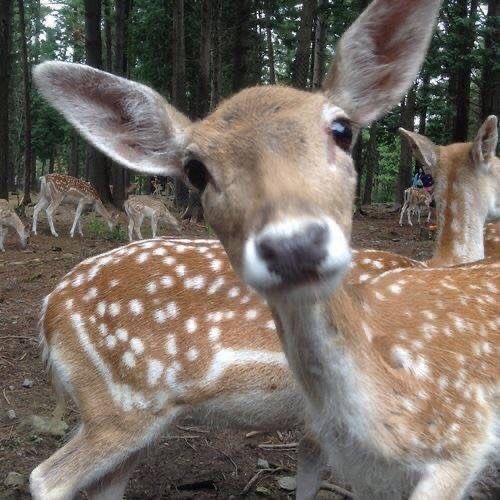 َ (@oldclassicl) on Twitter photo 