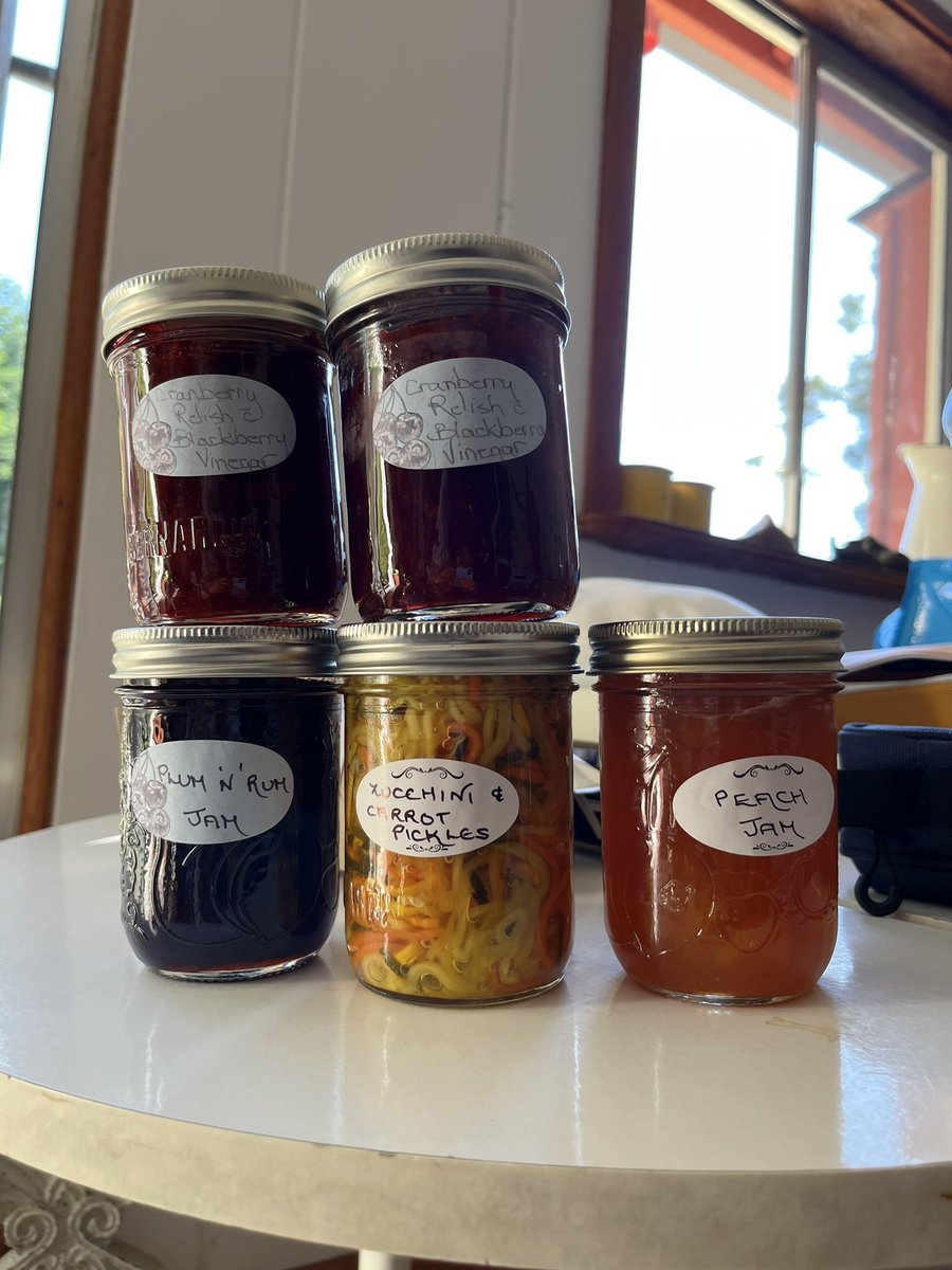 Michaela Samanta tweet media