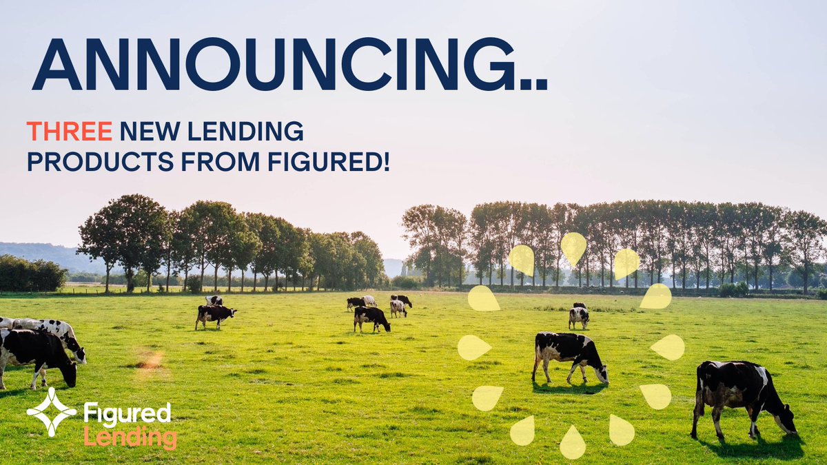 💸 NEW 💸 
1. Halter Finance - Lets new + existing <a href="/Halterhq/">Halter</a> customers change the way they pay.
2. Asset Finance - Machinery, implement + tech investment.
3. Project Finance - To undertake projects aimed at improving sustainability + profitability. 
hubs.ly/Q024K3ps0