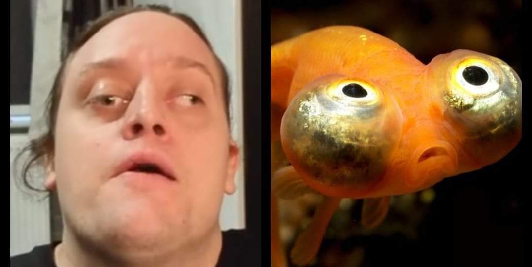 TheSteg20's tweet photo. Hi my Stegar knights these are the kind of photos that people send me I will be back posting tomorrow I got in trouble for trying to make people laugh as usual yet people can send me stuff like this and comment whatever they want it doesn't bother me because I was born in the 90s and I'm way past my best I have enough carpet rolls to prove it you'd want to feast your eyes on a better body than mine I missed the days when the world had a sense of humour stick me in a time machine and send me back anyway rant over see you tomorrow. 

Steg Out.