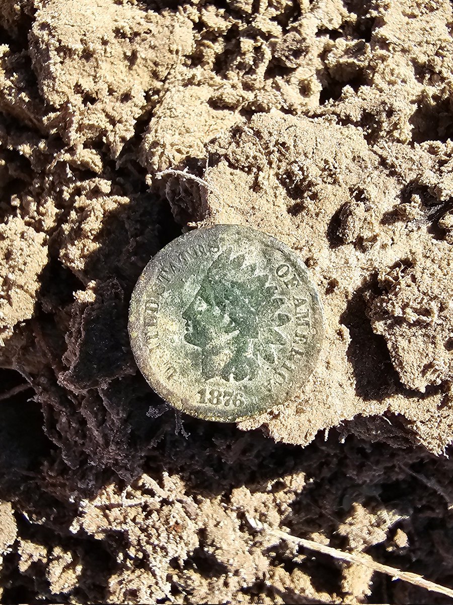 sblizz334's tweet image. Got out today for a quick hunt. It's been a while, but I pulled this 1876 Indian Head Penny out. #digon