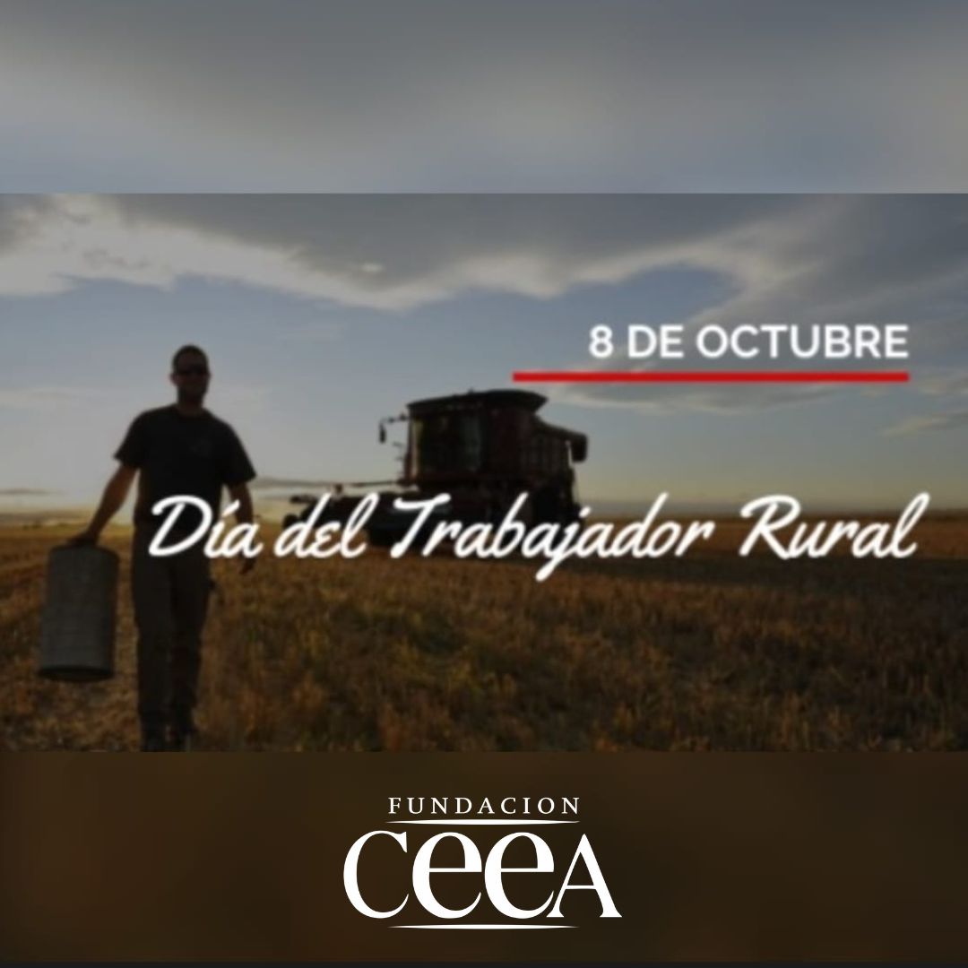 Fundacion CEEA tweet media
