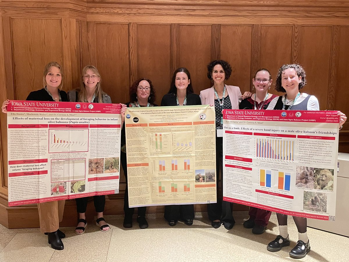 Uaso Ngiro Baboon Project tweet media