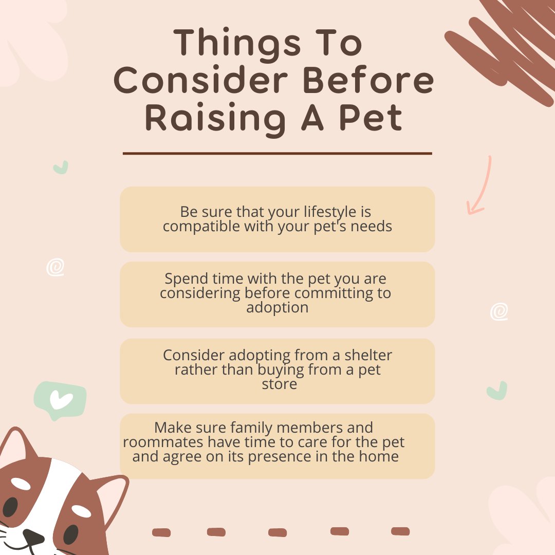 Do you check out all of the boxes?

#thepawplush #petsupplies #petcare #pethappiness #petenrichment #petstyle #petfurniture #petparents #qualitypetproducts #furbabies #petadventures #petowners #petnecessities #petjo #petsdeservethebest