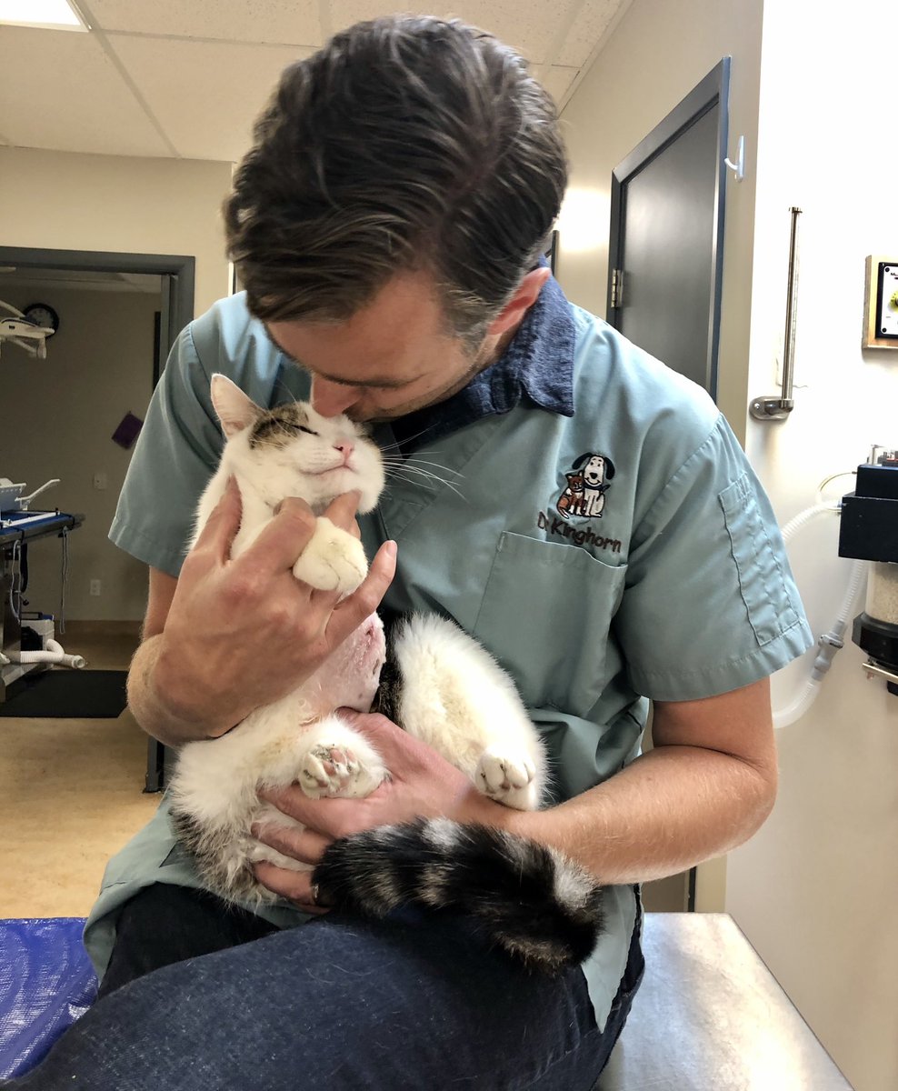 RoncyVet's tweet photo. Happy birthday to Dr Mark Kinghorn, our caring &amp; skilled vet and the man whose vision led to Roncy Village Vet Clinic! We’re so grateful to have you! 

***We’re finalists! Please vote for our Roncy team in the Toronto Star Readers’ Choice Awards at https://t.co/06XB3sZJZt! https://t.co/UmOluo03zv