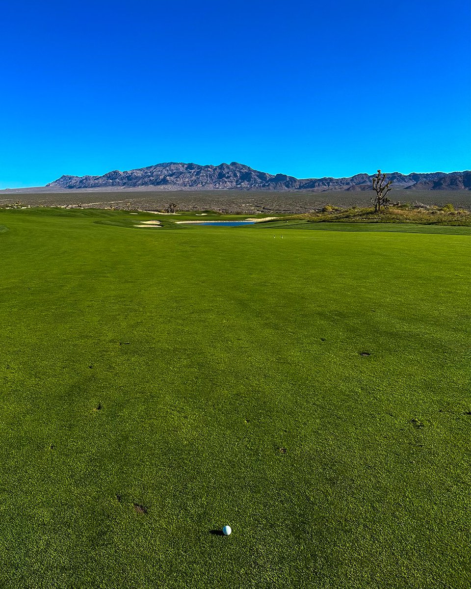 PGA of America tweet media