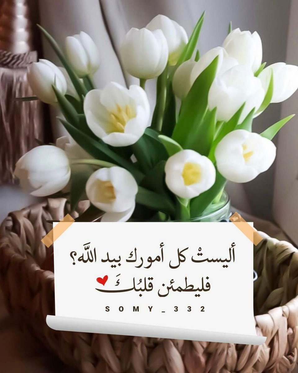 alaa (@alaa_4_1996) on Twitter photo 