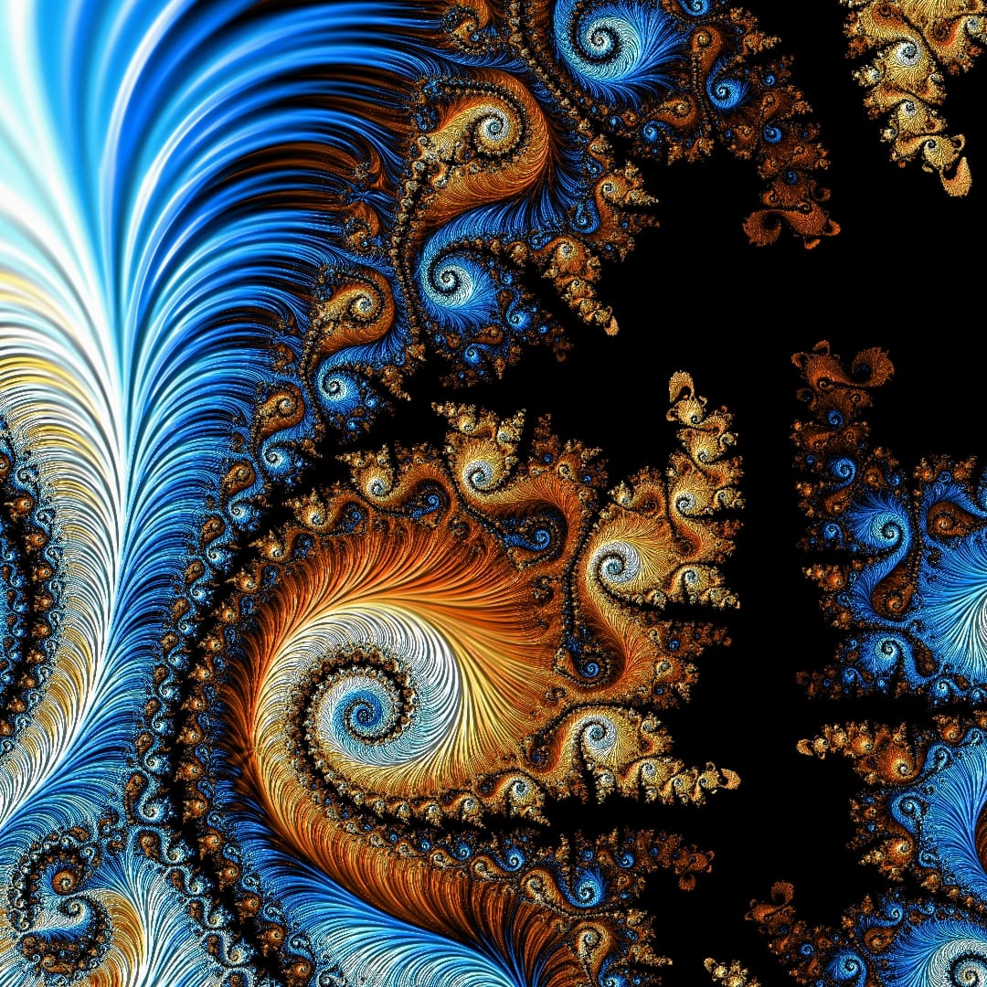 Marc Carson tweet media