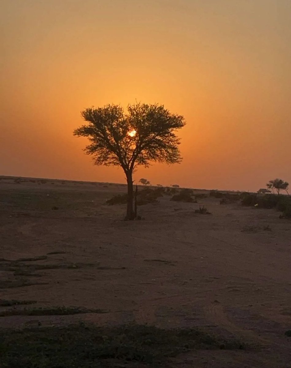 salm966's tweet photo. عندما ترى المعاملة قد تغيرت 
فاعلم أن البديل قد حضر ....
اجمع شتات ماتبقى وغادر بهدوء.فلم يعد لك مكان . https://t.co/FyGL5dKGKc
