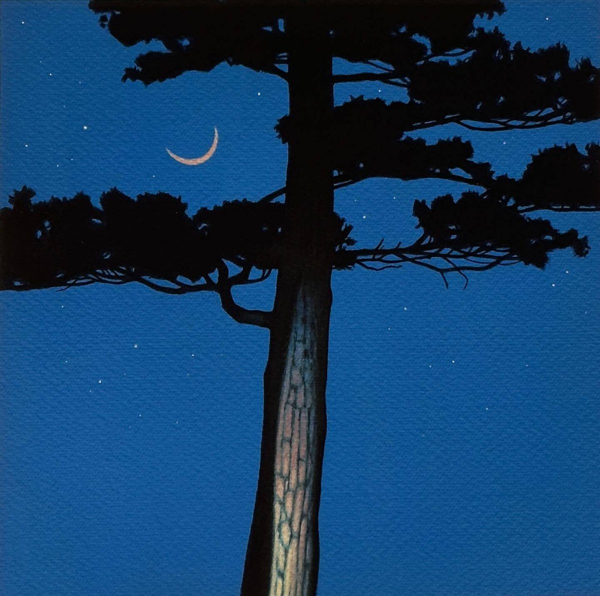 franch_laura's tweet image. ¡Buenas noches!
Bona nit!

🎨 Christopher Burk