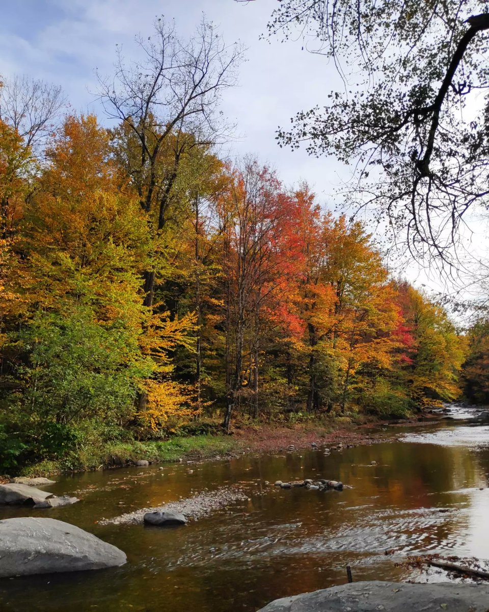 ashwinskumar's tweet photo. #FallColors2023 in NH and VT. https://t.co/V9v1pz8zNB