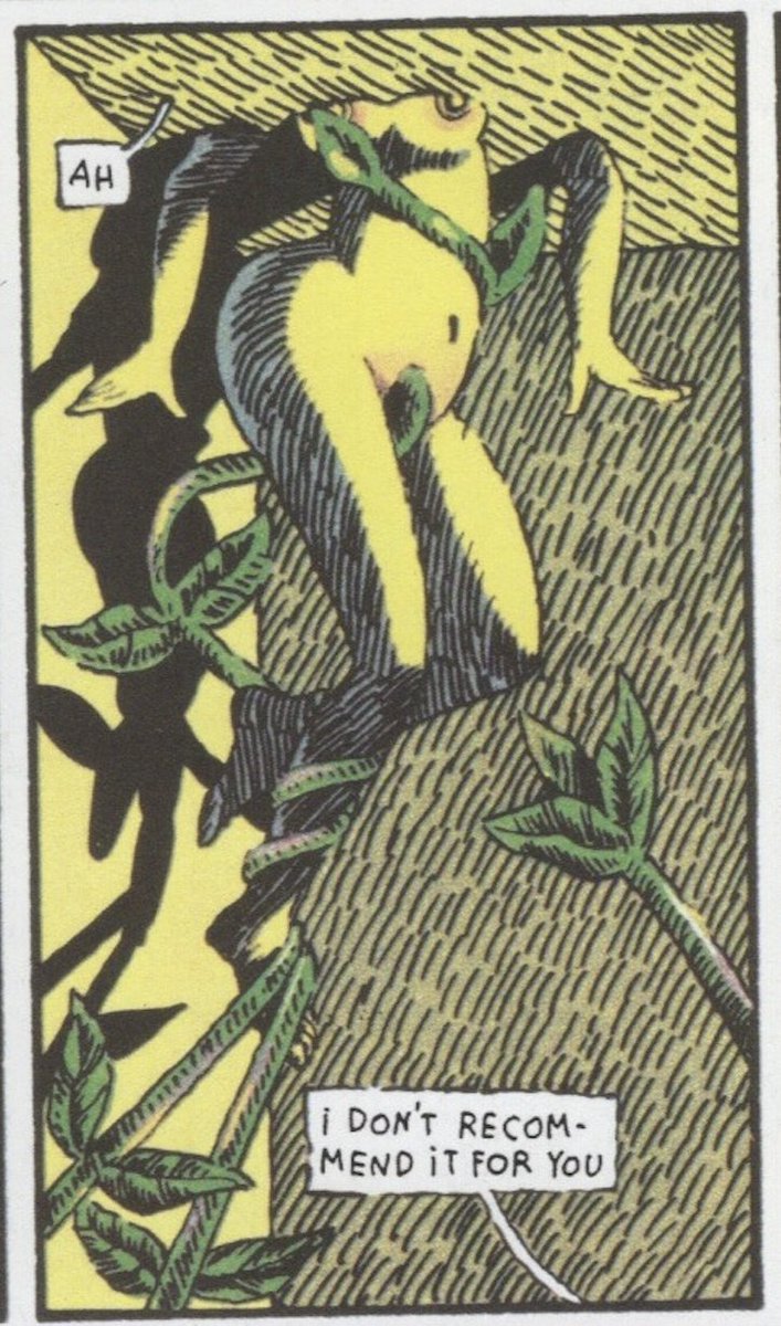 Domino Books tweet media