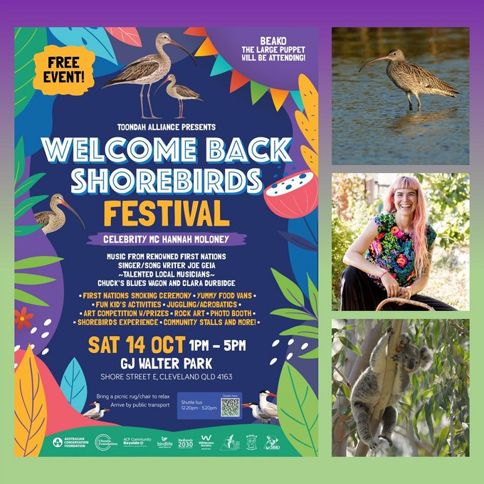 PTBAQld's tweet photo. Come join us at Cleveland this weekend to welcome back the shorebirds to Toondah Harbour. A free family event, from 1pm. https://t.co/oaIt1wJ4Bx
