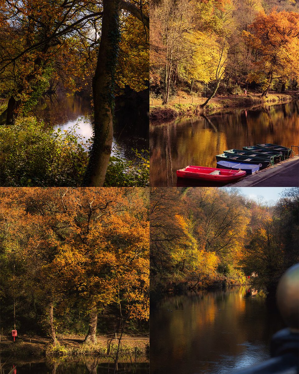 Autumn in England 🧡✨️