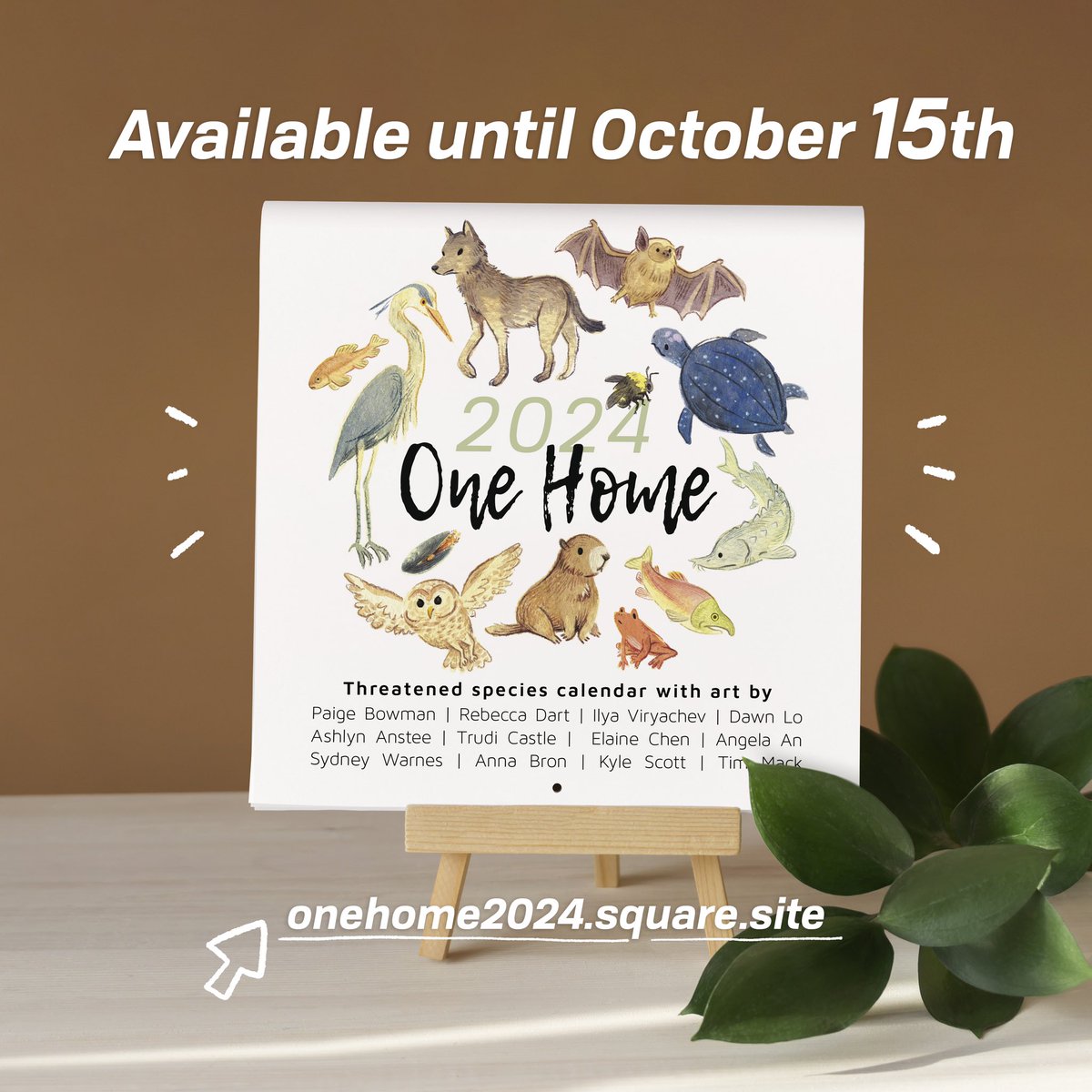 Elaine Chen ☘️ tweet media