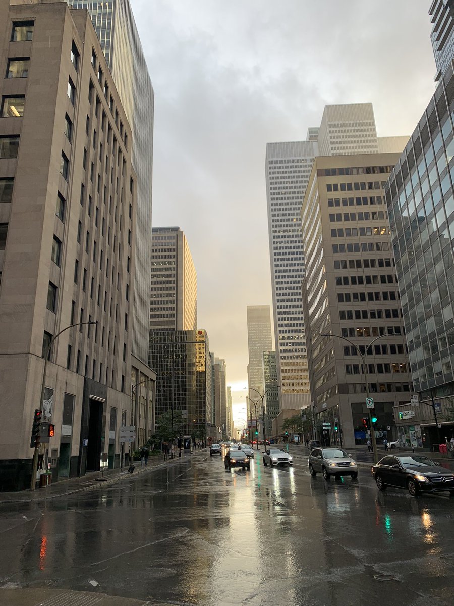 nice day in Montréal 🫶🏻🍁🇨🇦