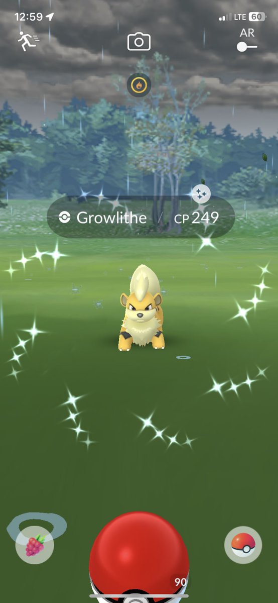 Wonderful day for a long walk ✨🤩 #Pokemon #PokemonGO #ShinyPokemon