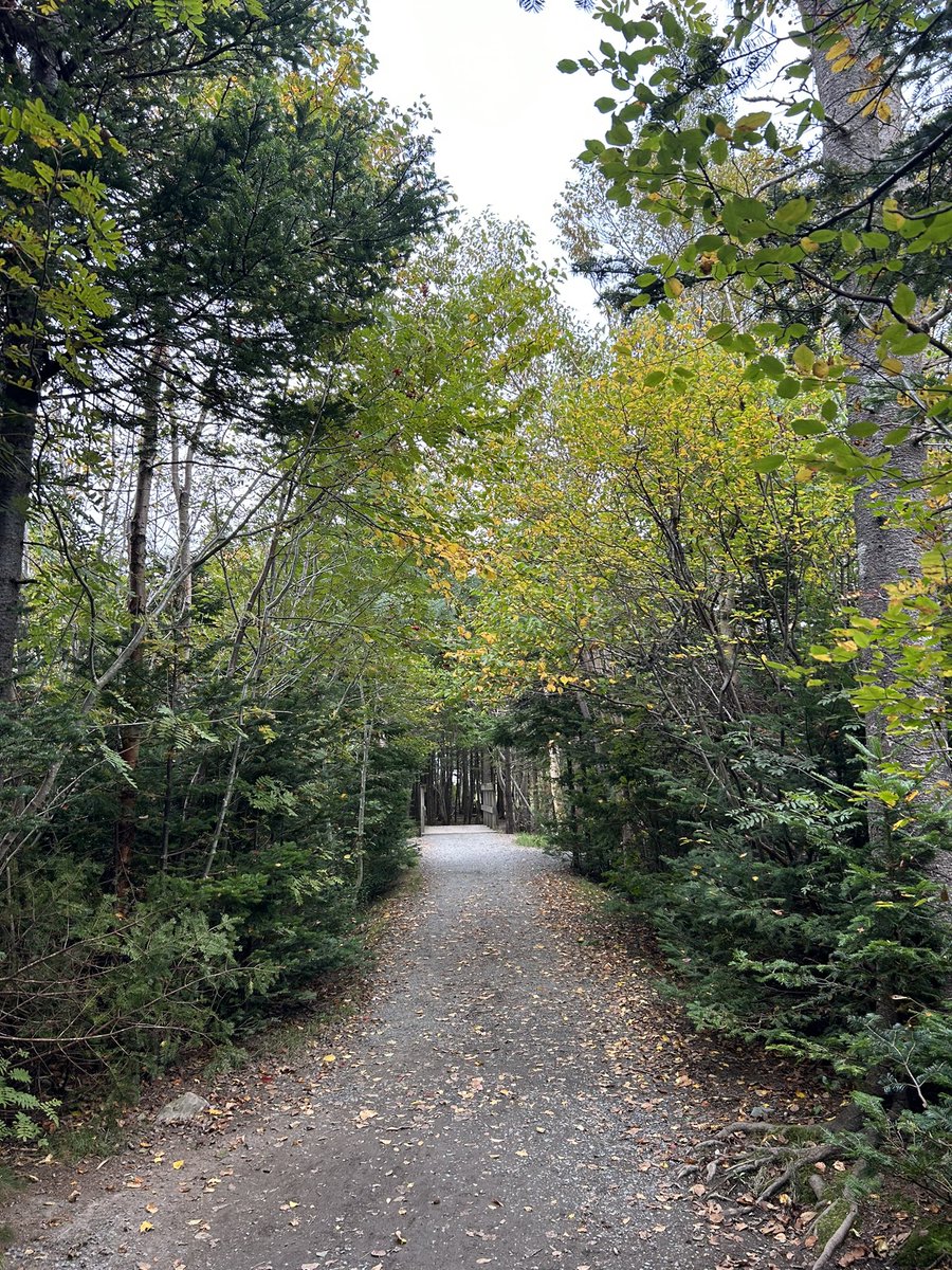 dpowerSTJ's tweet photo. A perfect fall day for a walk along the trails! The smell of the trees and the slightly crisp air replenishes the soul. https://t.co/hVjlgMCZPw