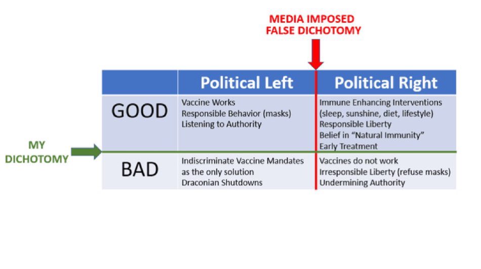 RogerSeheult's tweet image. Please note that I don’t fit the typical C19 false dichotomy: I agree with the top boxes and disagree with the bottom ones.