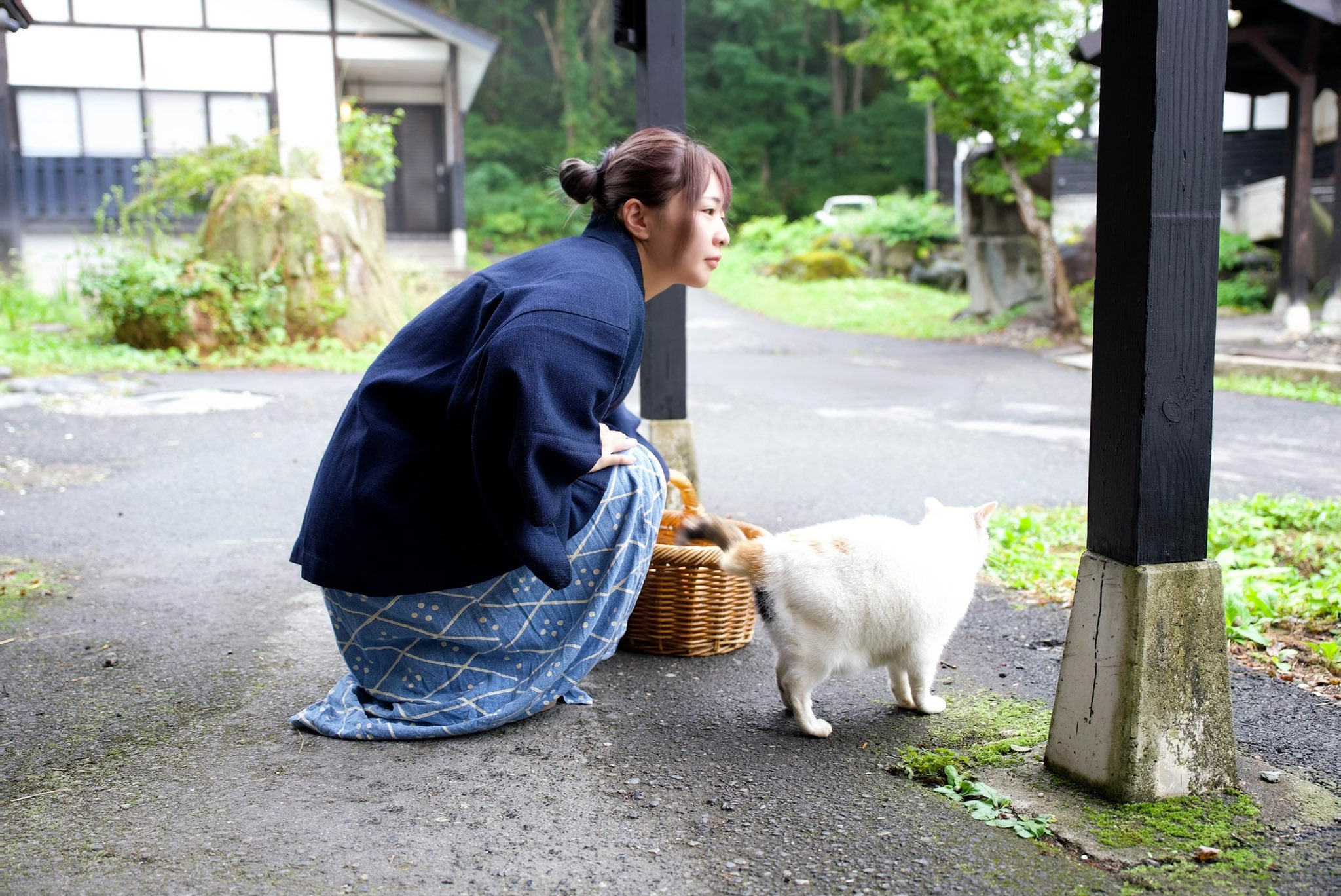 F790V9BbcAASDPc?format=jpg&name=orig