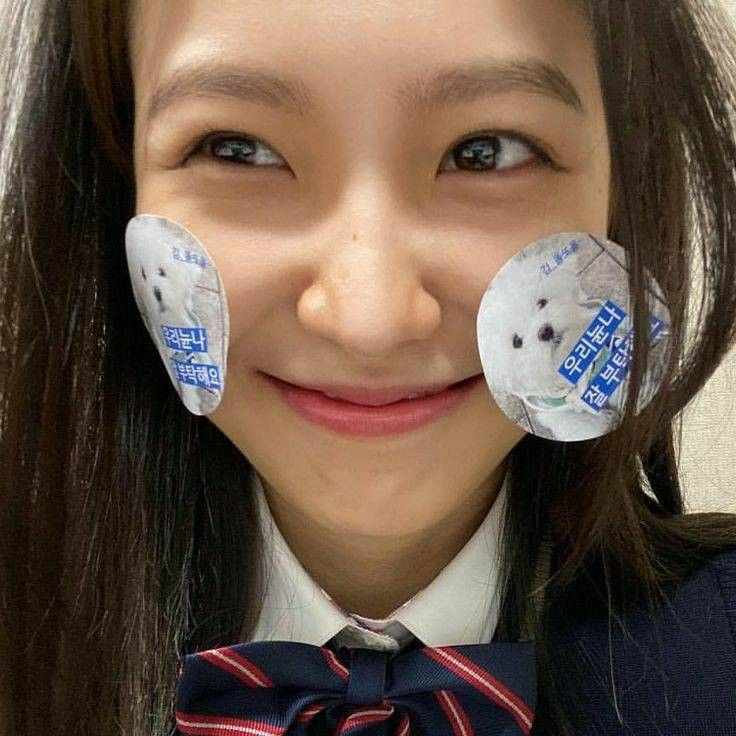 how2sayiluvu's tweet photo. ต้นรักเช็คอินเกๅหลี หนาว ✅
ต้นรักชุดนักเรียน​ ✅ https://t.co/D4eoMndeGa