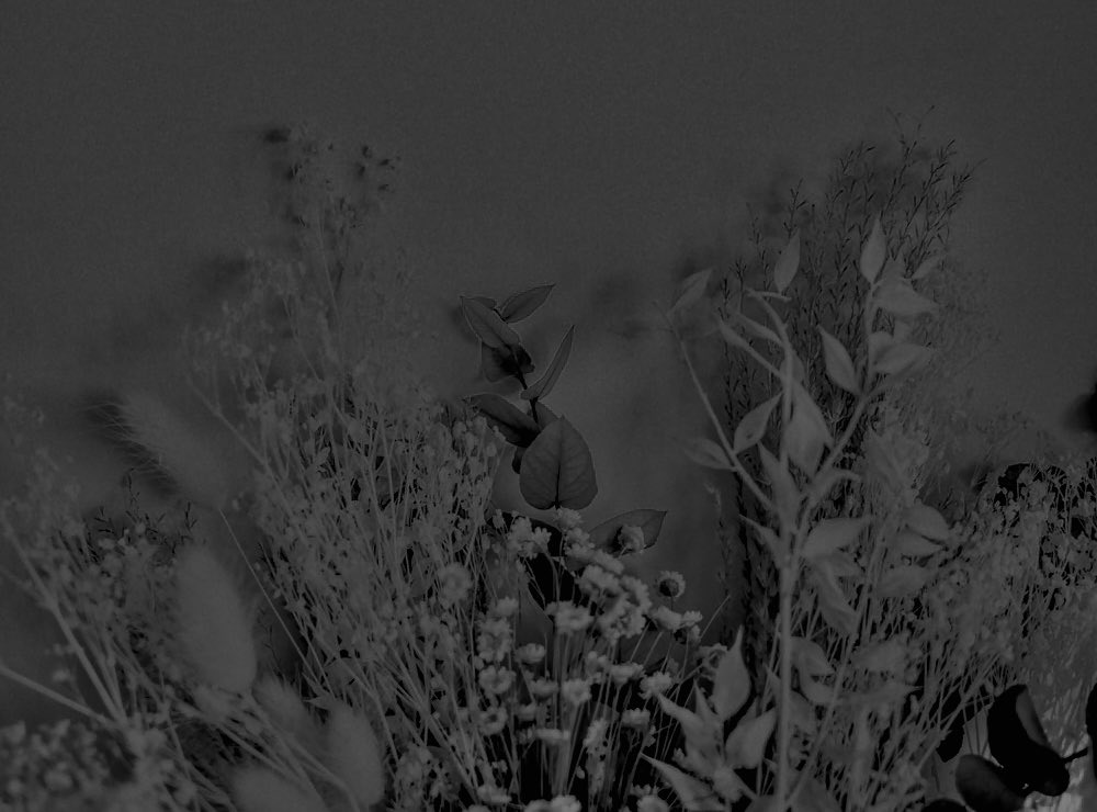 ❄️ ˏˋ꒰ no matter what the universe holds,
           i will forever remain your fortress. ꒱

. . . . ╰──╮

☕️┊ ⋆˚ ⁭ remy / remi 
non-com , , sfw agere carer !! 🗝️
🖇️ ⸝⸝ cloudycarer.carrd.co 

╭──╯ . . . .

« ♡ + ↺ : for moots ! »