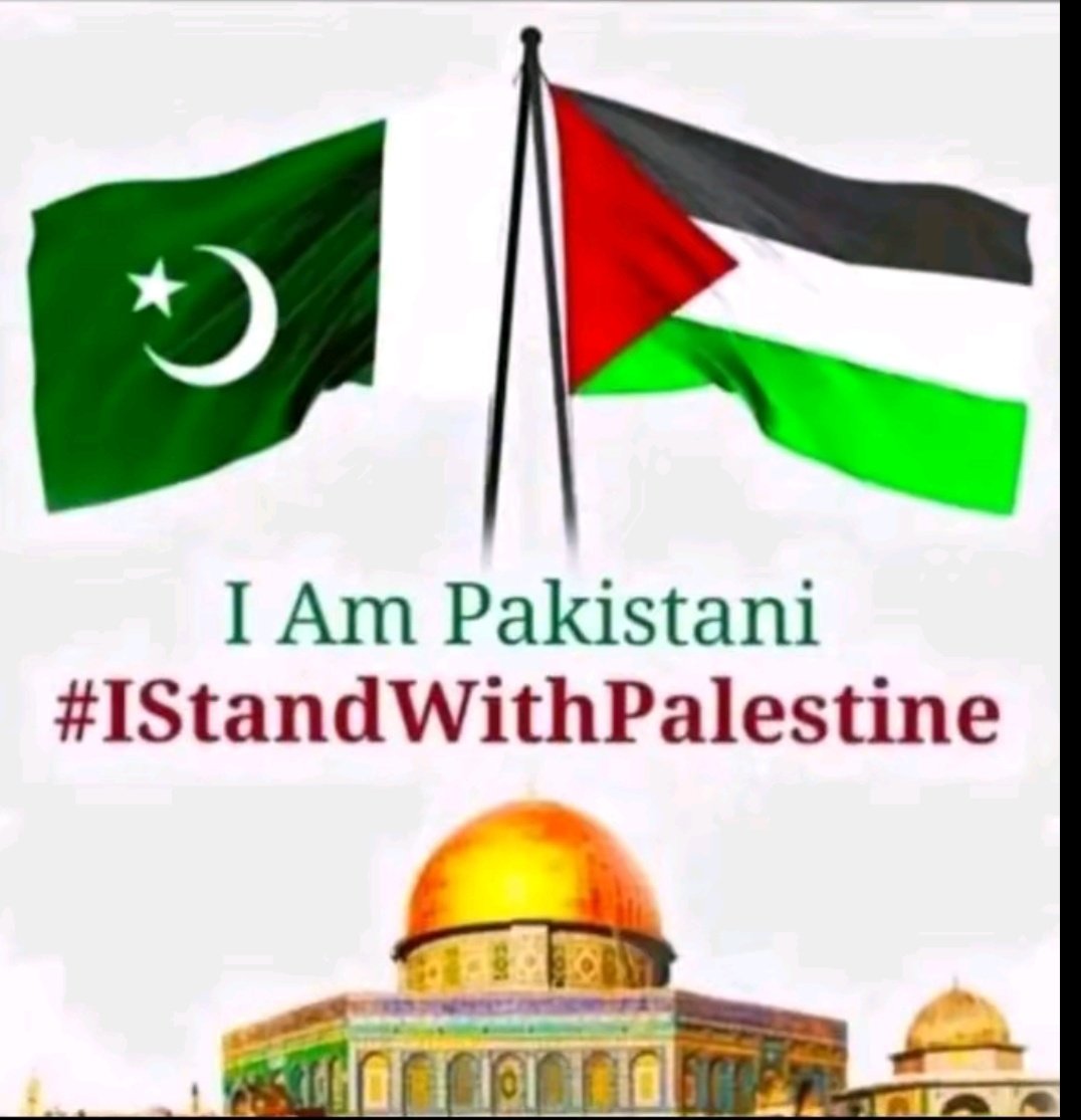 NajeebMemon01's tweet photo. I Am Pakistani I Stand With Palestine
#PakistanStandwithPalestine
#Palestine https://t.co/kI1Xqf6Yz0