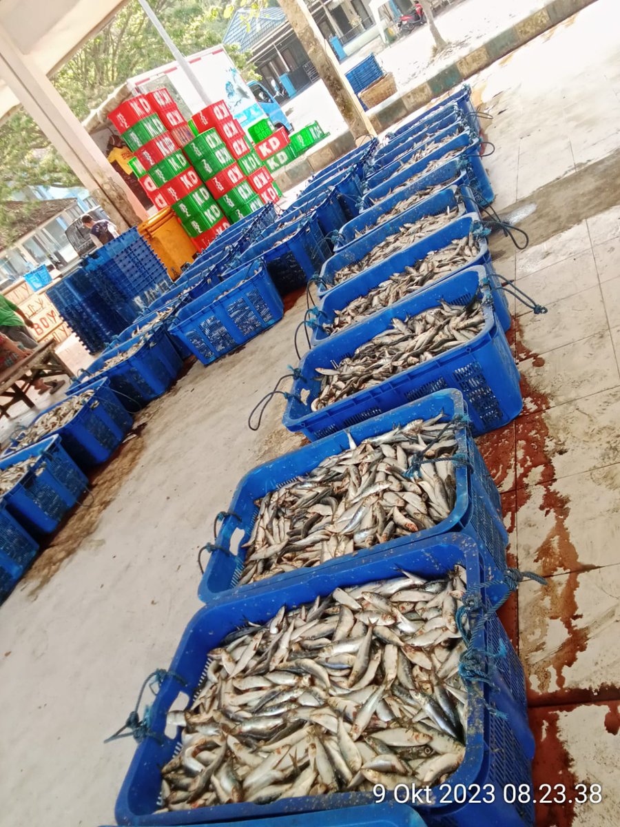 Mtweet1284's tweet photo. Senin, 9/10/2023, M. Azis, luhkan Kab. Tulungagung melaporkan hasil tangkapan KM. Kodil, jenis ikan layang, jumlah 2345 kg, harga 7000/ Kg
#luhlapor 
#GiatLuhkanSatminkalBWI 
@bppsdm_bp3bwi 
@bppsdm_kp 
@djpt_kkp https://t.co/sjWfZQVZcw