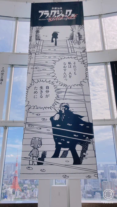 BJ展良かった……時間の見積もりが甘くて鑑賞時間が足りなかった……
これから行かれる方は後ろの予定がない日の方がおすすめです。ボリュームたっぷりでした。 