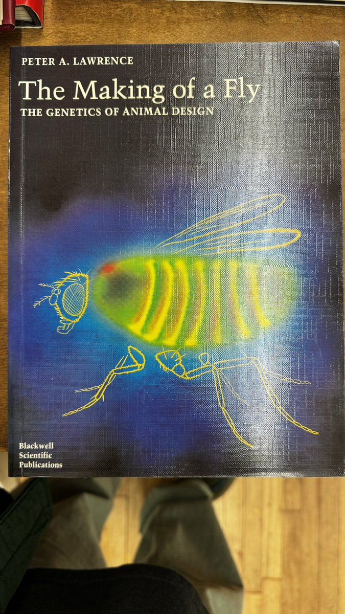 mbeisen's tweet photo. You know how sometimes people discover million dollar paintings for $10 in a thrift store? https://t.co/WhfvtGWAQS