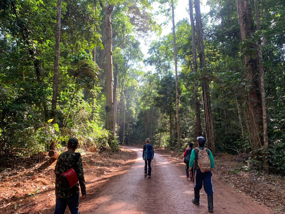 Caio Mattos, PhD 🏳️‍🌈 tweet media