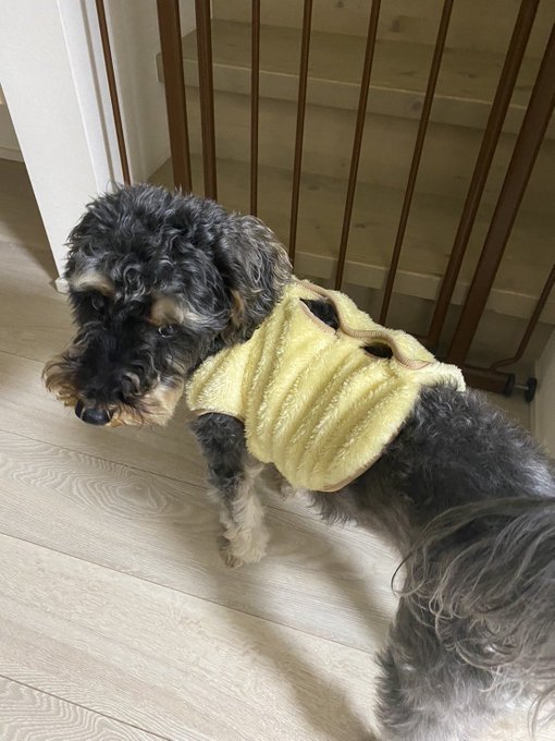 Twitterのコスプレ画像32