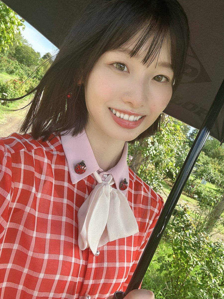 _asainanami's tweet photo. おはようございも🐞🍠 https://t.co/K5BrmXaWUQ
