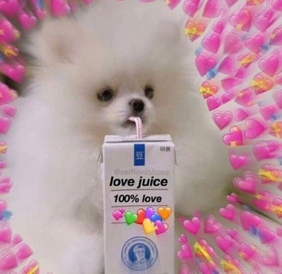 Nsdimeetu's tweet image. MANDY TE AMAMOSSSSS #GHVIP8O #GHVIPDBT4