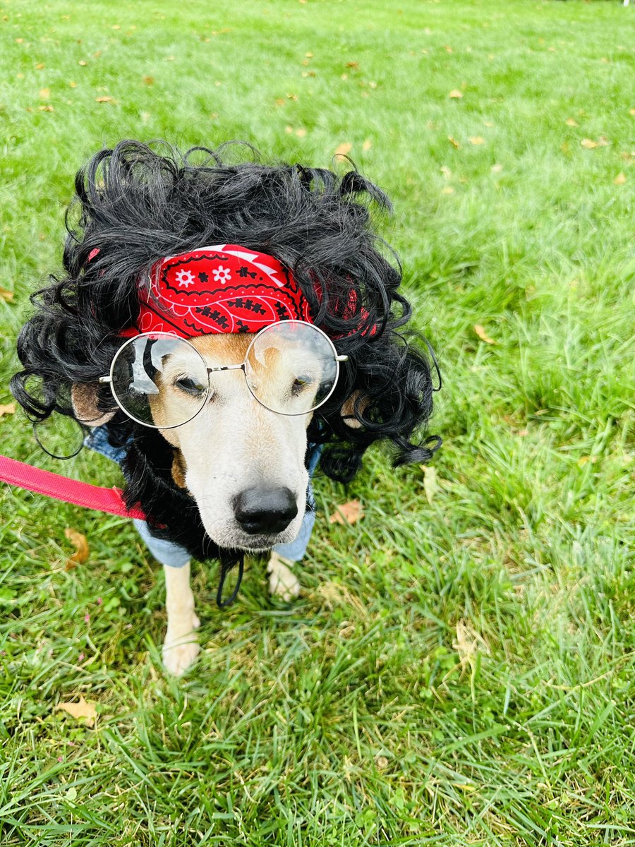 AroundMainLine's tweet photo. My Best Costume Pick at Mutt Strut today @phillypaws #cheechandchong
๐ธ: @AroundMainLine ๐๐ถ๐ฅธ #phillypaws #muttstrut https://t.co/TCFX7StHHC