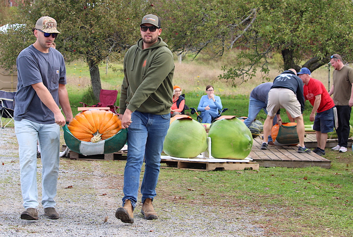 JasonMa47772994's tweet photo. A few shots from Saturday's fourth annual Great Howard Dill Pumpkin Classic in Windsor. https://t.co/dfSPq1E7c9