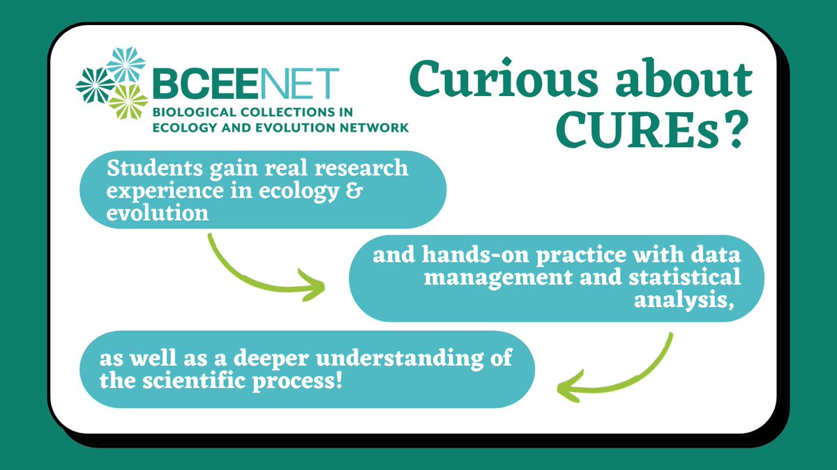 Curious about a #BCEENET CURE? They’re game-changers for students for so many reasons! Implementers have the opportunity to teach research skills and offer students real-life experiences to get them started in their careers. Learn more here! bceenetwork.org
#STEMEd