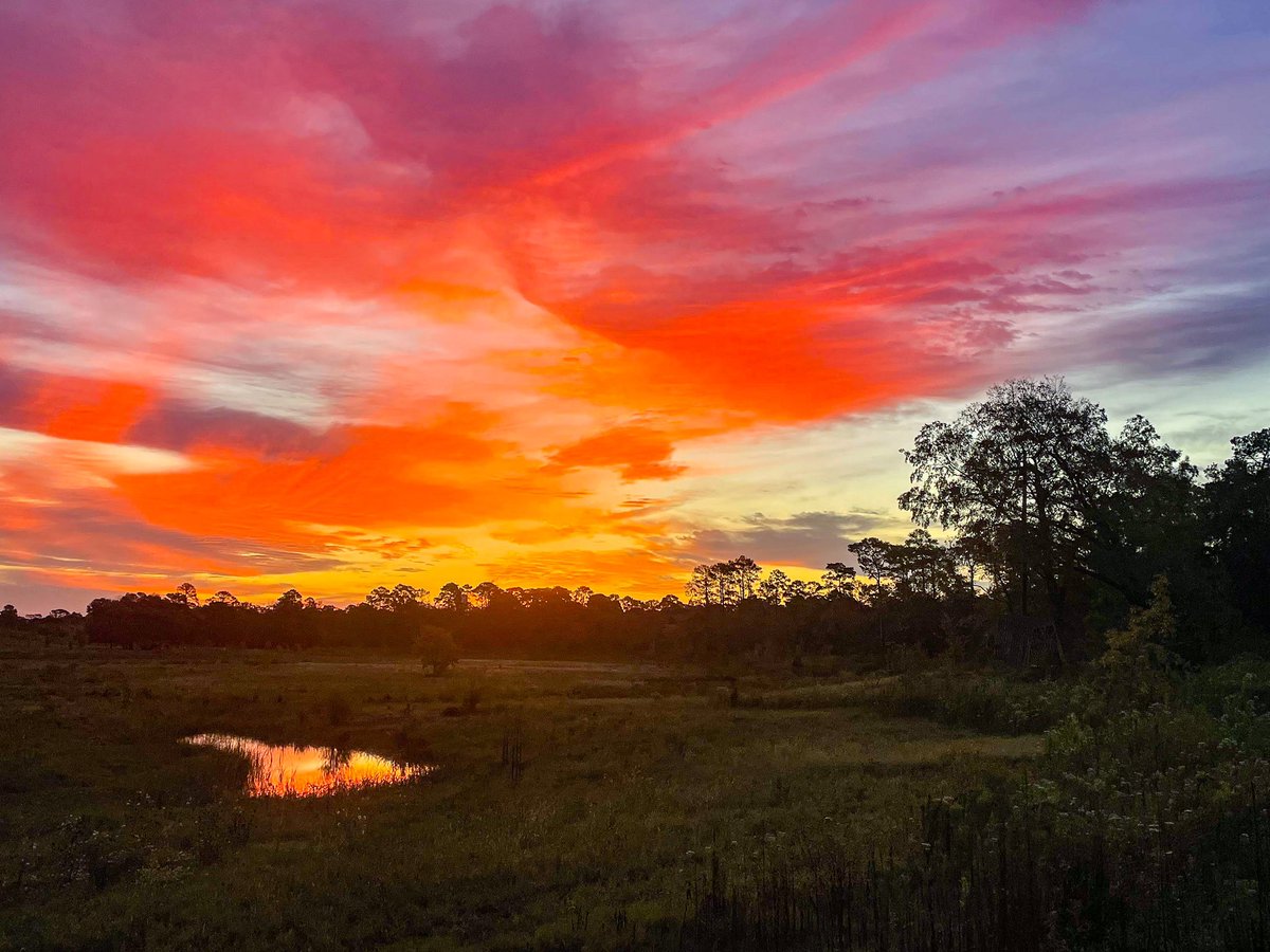 andrehermann11's tweet photo. Here’s something a little different. 

Here’s my long training run, and the sunrise that welcomed me on the trail.

#photography #trailrunner #diaryofarunningdad #ultrarunner #sunrise https://t.co/fOzH6dv4zN