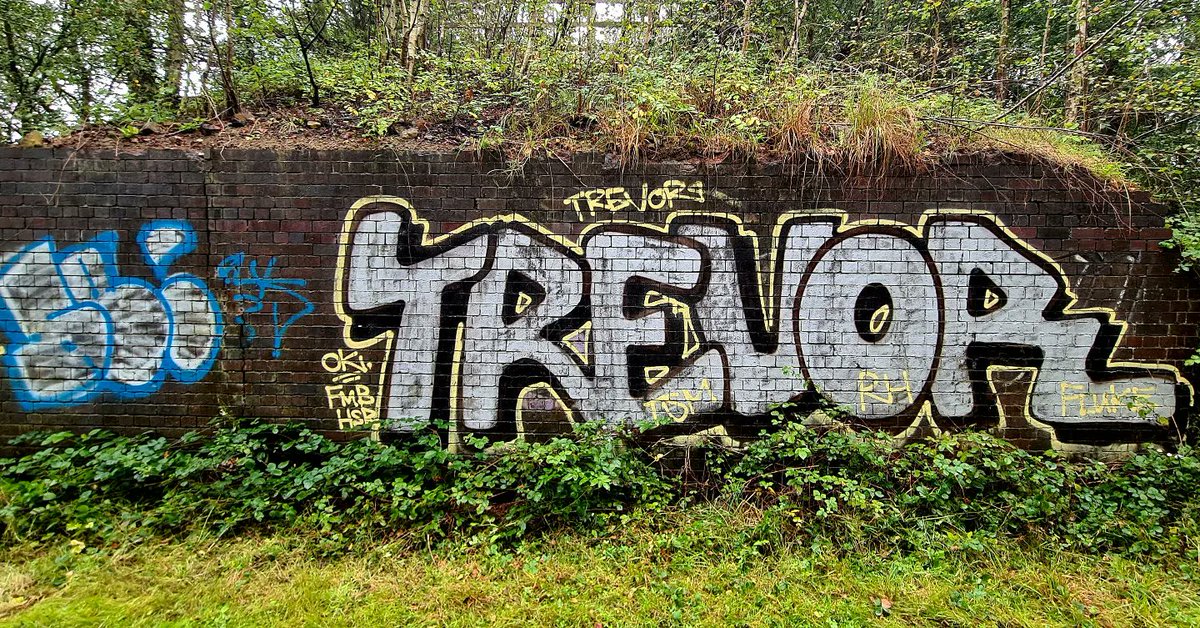 Location: Barnby Dun, #Doncaster Artist: Trevor [I'm making a #graffiti documentary, check it out here: streetartandsoul.com]