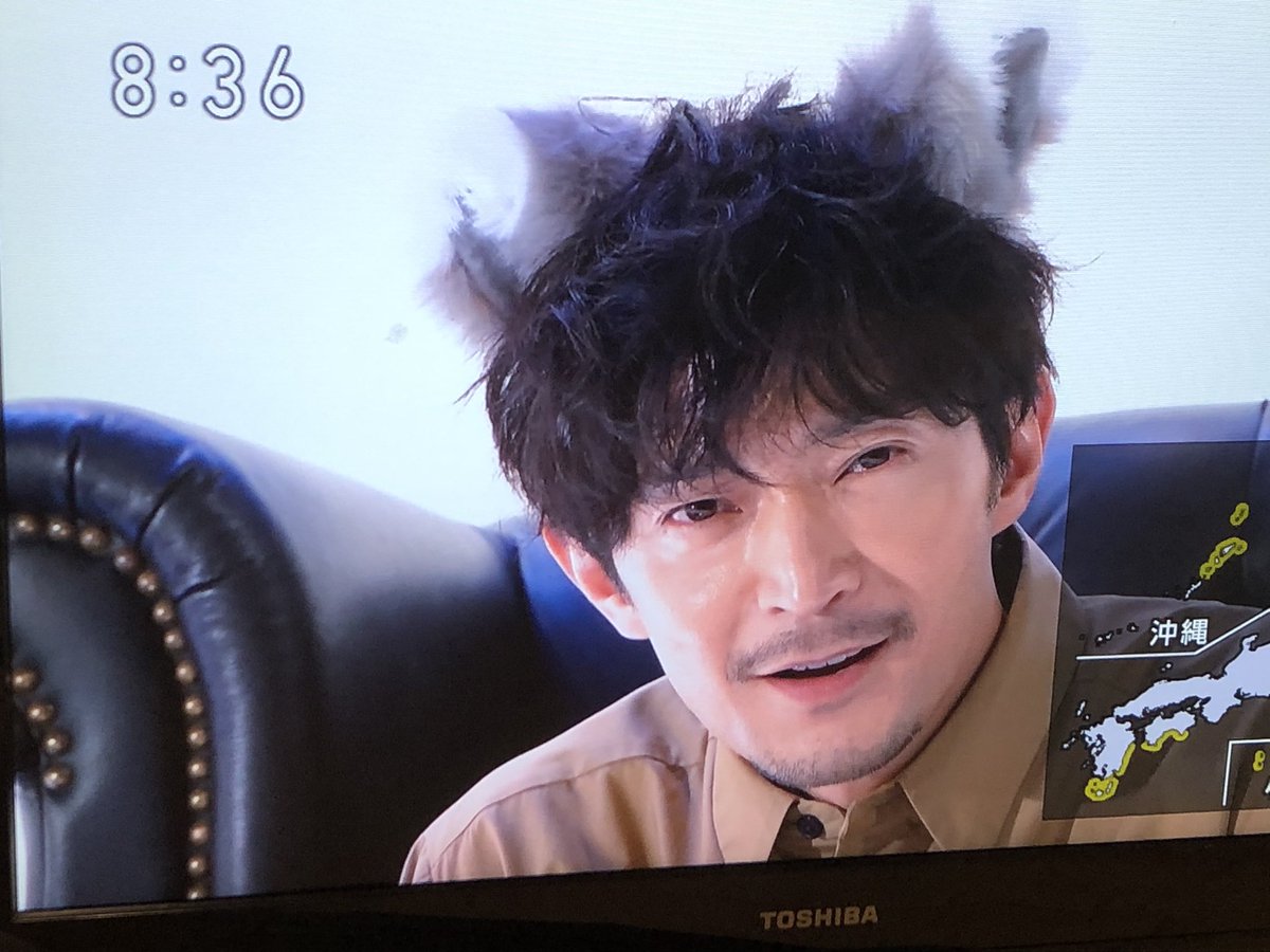 にほんごであそぼ、津田健次郎さんが猫耳つけて吾輩は猫であるを読んでる……新たな扉を開けと言うのか……